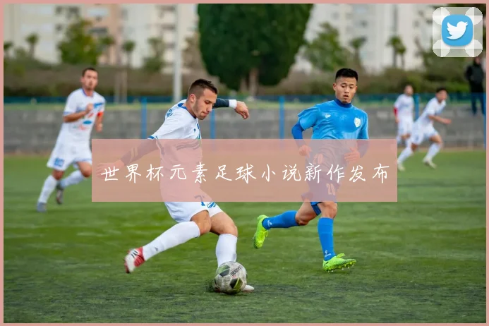 世界杯元素足球小说新作发布